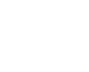 ISO24971